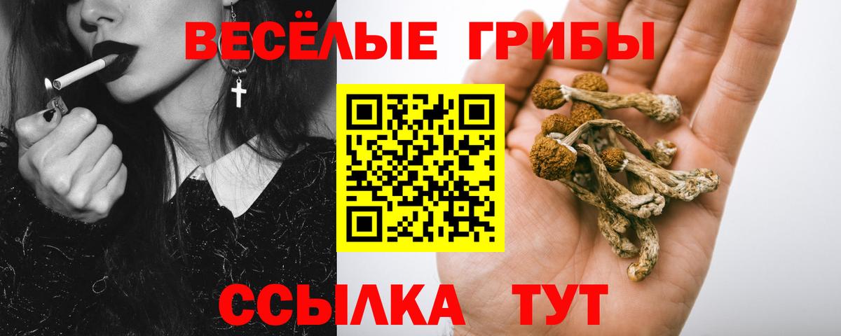 Ульяновск  Галлюциногенные грибы MAGIC MUSHROOMS  Вход с VPN 
